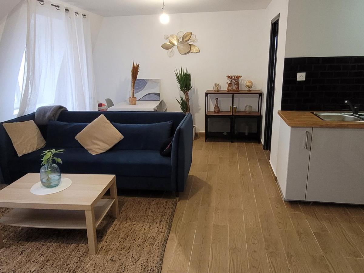 Coquet Appartement A 15Mn De Paris Et 10 Mn De Stade De France, Wifi, Netflix, Groslay Екстер'єр фото